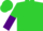 Lime green, purple 'golden sky racing' horse emblem, lime green and purple halved sleeves