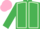 Emerald green, light green seams, emerald green sleeves, pink cap