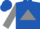 Royal Blue,grey Triangle, Grey Cuffs On Sleeves