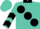Turquoise, large Black spots And Collar, Turquoise Sleeves, Black Chevrons And Cuffs