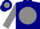 Navy blue, navy blue 'rrw' on gray ball, navy blue bars on gray sleeves