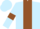 Light blue, brown stripe and armlets
