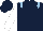 Dark blue, light blue epaulets, white sleeves