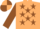 Beige, Brown Stars, Brown Sleeves, Beige And Brown quartered Cap