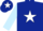 Dark blue, white star, light blue sleeves, dark blue cap, white star