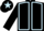 Black, light blue seams, black cap, light blue star