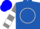 Royal blue, white circle, gray 'ynk', two white hoops on sleeves, blue cap