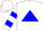 White, blue triangle, blue hoops on slvs