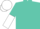 Turquoise, turquoise and white halved sleeves, white cap