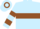 Light blue, light blue 'r' on brown hoop, brown hoops on sleeves