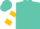 Turquoise, white yoke, white 's', gold bars on sleeves