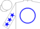 White, bucking horse in blue circle, black and blue stars on sleeves
