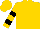 Gold, black horses head, black bars on sleeves, gold cap