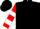 Black, white horse head on red shield, red and white bars on slvs