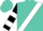 Turquoise, white sash, white 'c', white bars on sleeves