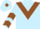 Light blue, brown chevron, chevrons on sleeves, light blue cap, brown diamond