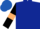 Dark blue, black sleeves, beige armlets, royal blue cap