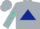 Silver, dark blue triangle, turquoise diamonds on sleeves, silver cap