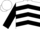 White, black chevrons and cuffs on sleeves