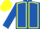 Royal blue, yellow seams, yellow and royal blue chevrons on sleeves, yellow cap