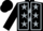 Black, silver seams, silver stars on shoulder and back, black cap