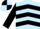 light blue, black chevrons, black sleeves, quartered cap