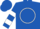 Royal blue, white circle, white hoops on sleeves, royal blue cap