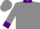Gray,brown bear, purple grizz, purple collar, bars & cuffs