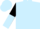 Light blue body, black arms, light blue halved, light blue cap