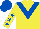 Yellow, royal blue chevron, royal blue stars on sleeves, royal blue cap