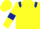 Yellow, dark blue epaulets and armlets