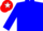 blue, blue sleeves, white hoops, red cap, white star