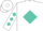 White, turquoise diamond 'jdt' on back, turquoise diamonds on sleeves