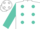 White, turquoise dots, turquoise slvs