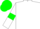 white, white sleeves, green armlets, green cap