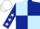 light blue and dark blue quartered, dark blue sleeves, white stars, white cap