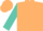 Tan, turquoise thunderbird, turquoise sleeves, tan bars
