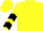 Yellow, black circled black 'r', black chevrons on sleeves