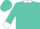 Turquoise, white 'wn' white collar & cuffs