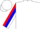 White, blue & red 'ss' blue panel sleeves, white s s