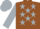 brown, silver stars, silver sleeves, silver cap