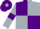 Purple and silver quartered, silver sleeves, purple armlets, purple cap,silver diamond
