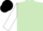 light green, white sleeves, black cap