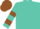 Turquoise, brown horseshoe, brown bars on sleeves, brown cap