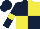 Dark blue and yellow (quartered), dark blue sleeves, yellow armlets, dark blue cap