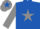 royal blue, grey star, grey sleeves, grey cap, royal blue star
