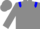 grey, blue epaulets and armbands