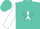 Turquoise, white star, turquoise diamonds on white sleeves, turquoise cap
