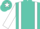 Turquoise, white braces, turquoise 'an' in white star, turquoise star stripe on white sleeves