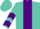 Turquoise, purple panel, purple chevrons on sleeves, turquoise cap